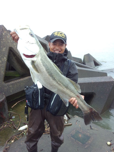 嫁に内緒の釣行に限って シーバス ランカークラブ