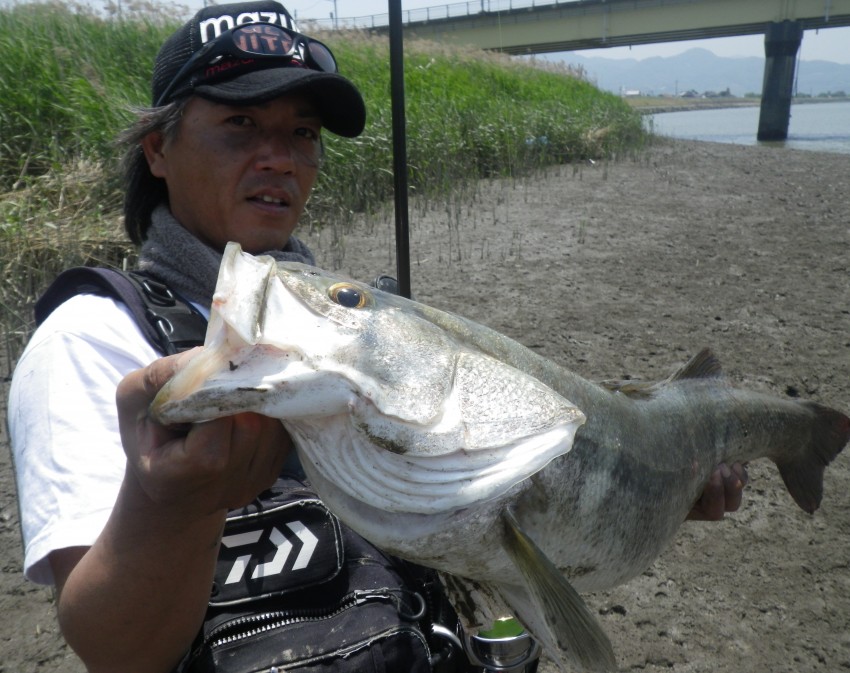 釣具屋のシュウ