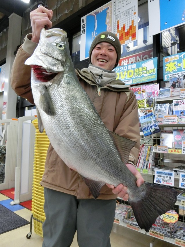 伊豆の銀鮭