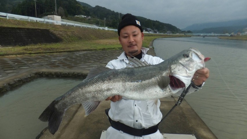 岡田 郁弥